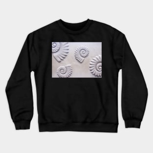 shells Crewneck Sweatshirt